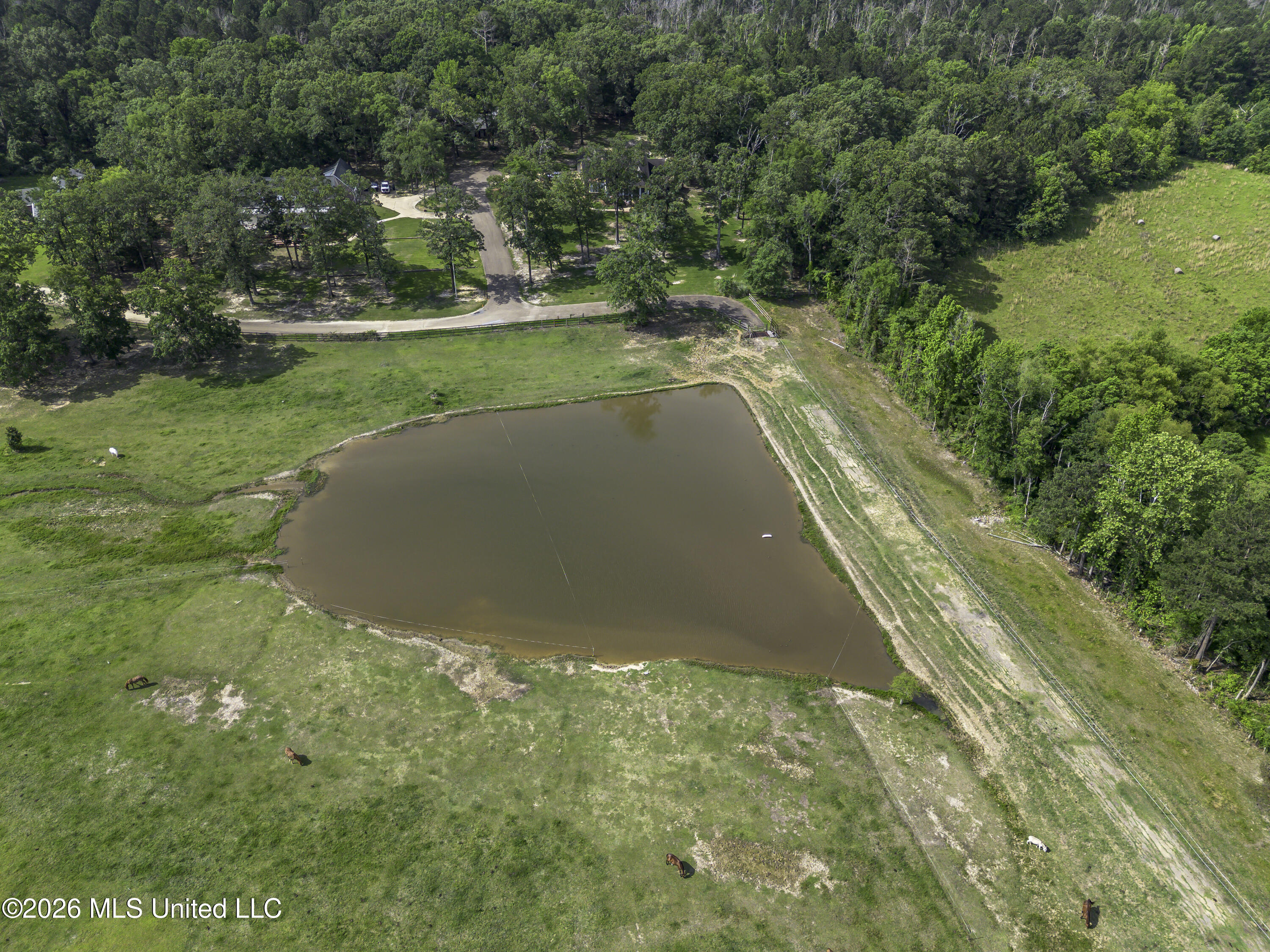 100 Chance Cove Property Photo 103