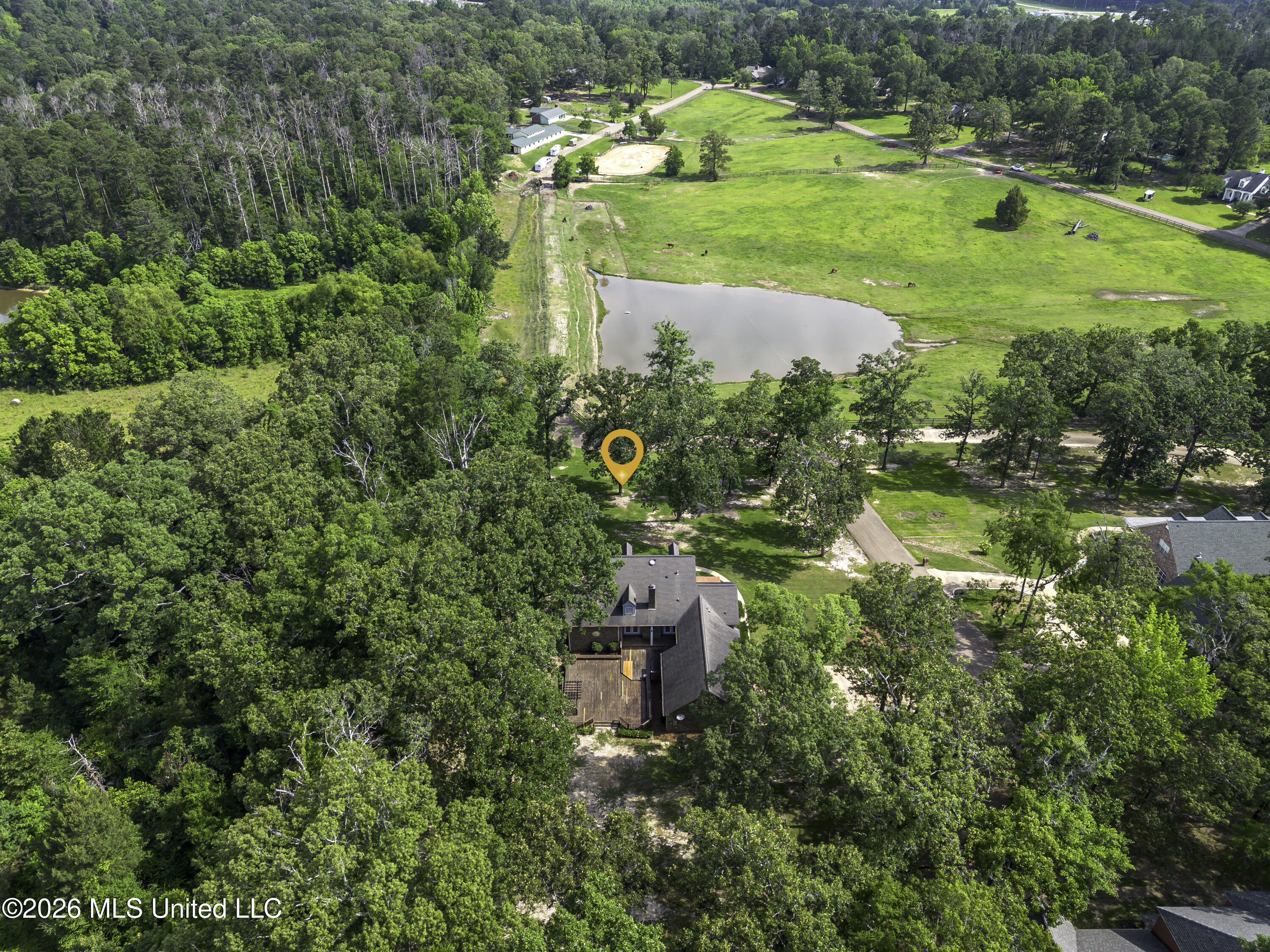 100 Chance Cove Property Photo 113