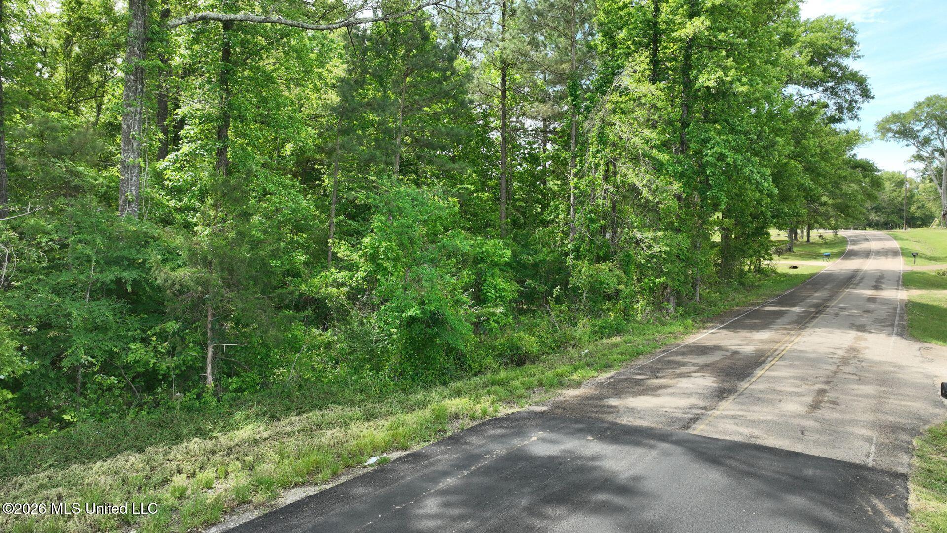 0 Snake Creek Road Property Photo 5