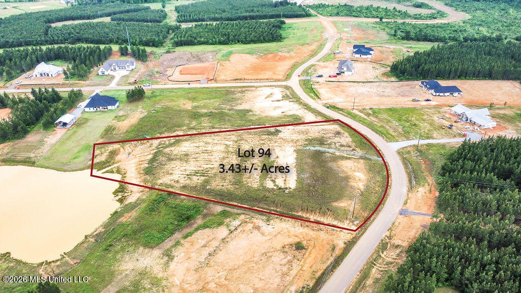 Freedom Farms Crossing Lot 94 Property Photo 4
