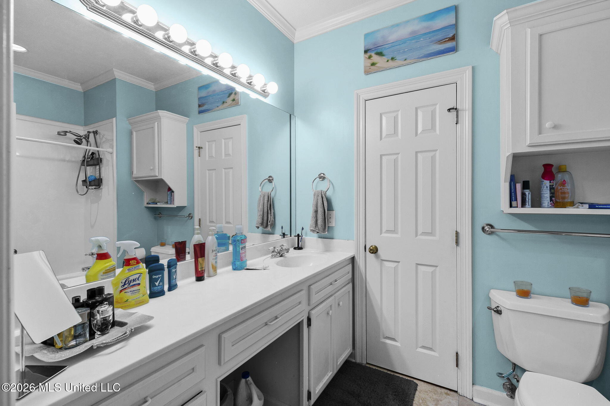 13 Village Green Court Property Photo 23