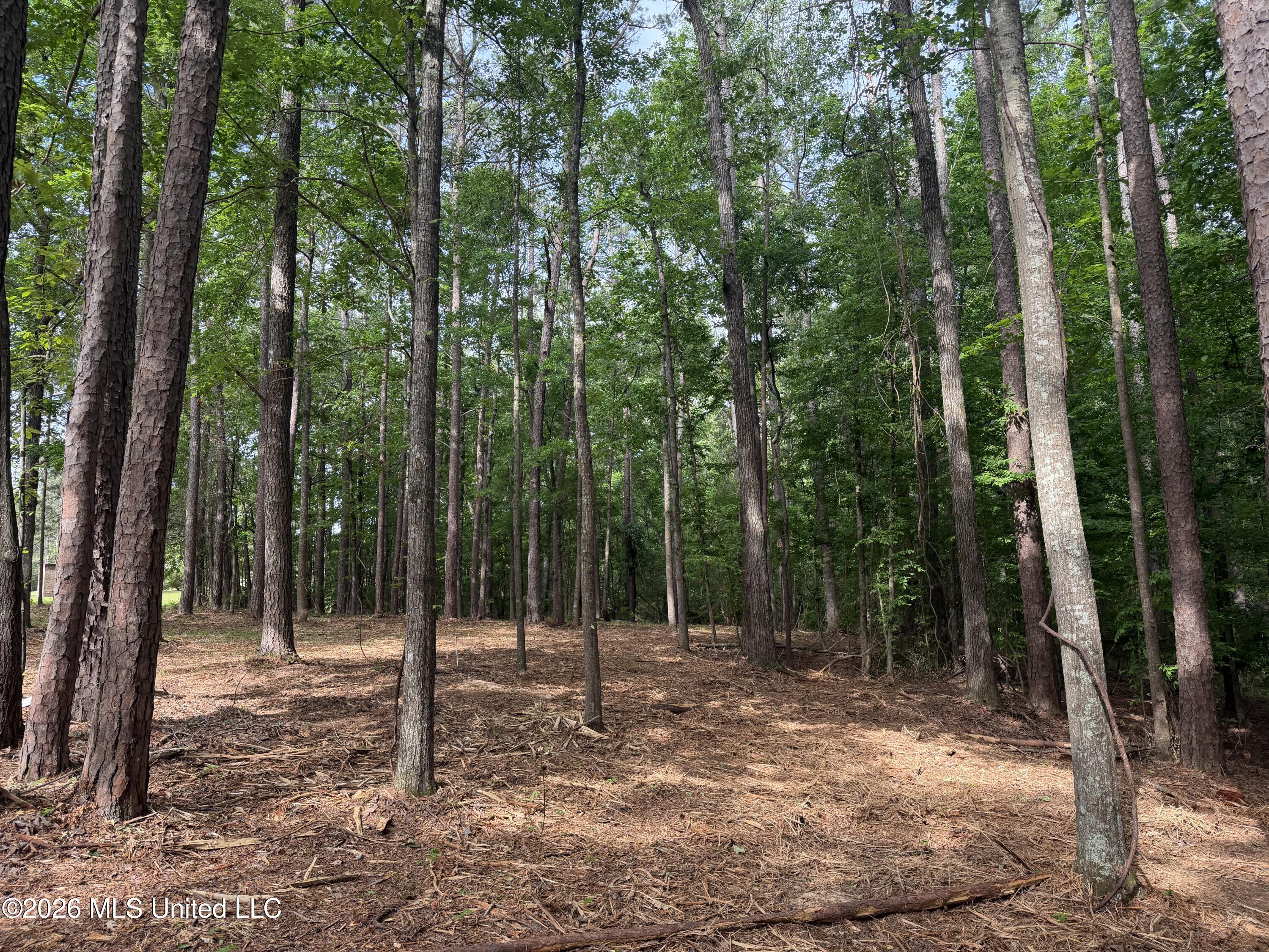 Evergreen Drive Property Photo 2