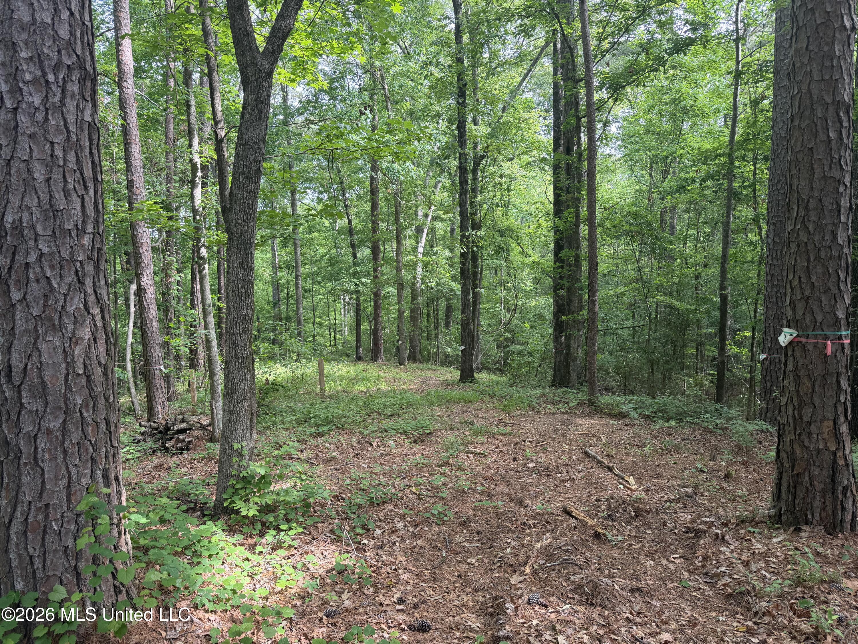 Evergreen Drive Property Photo 3