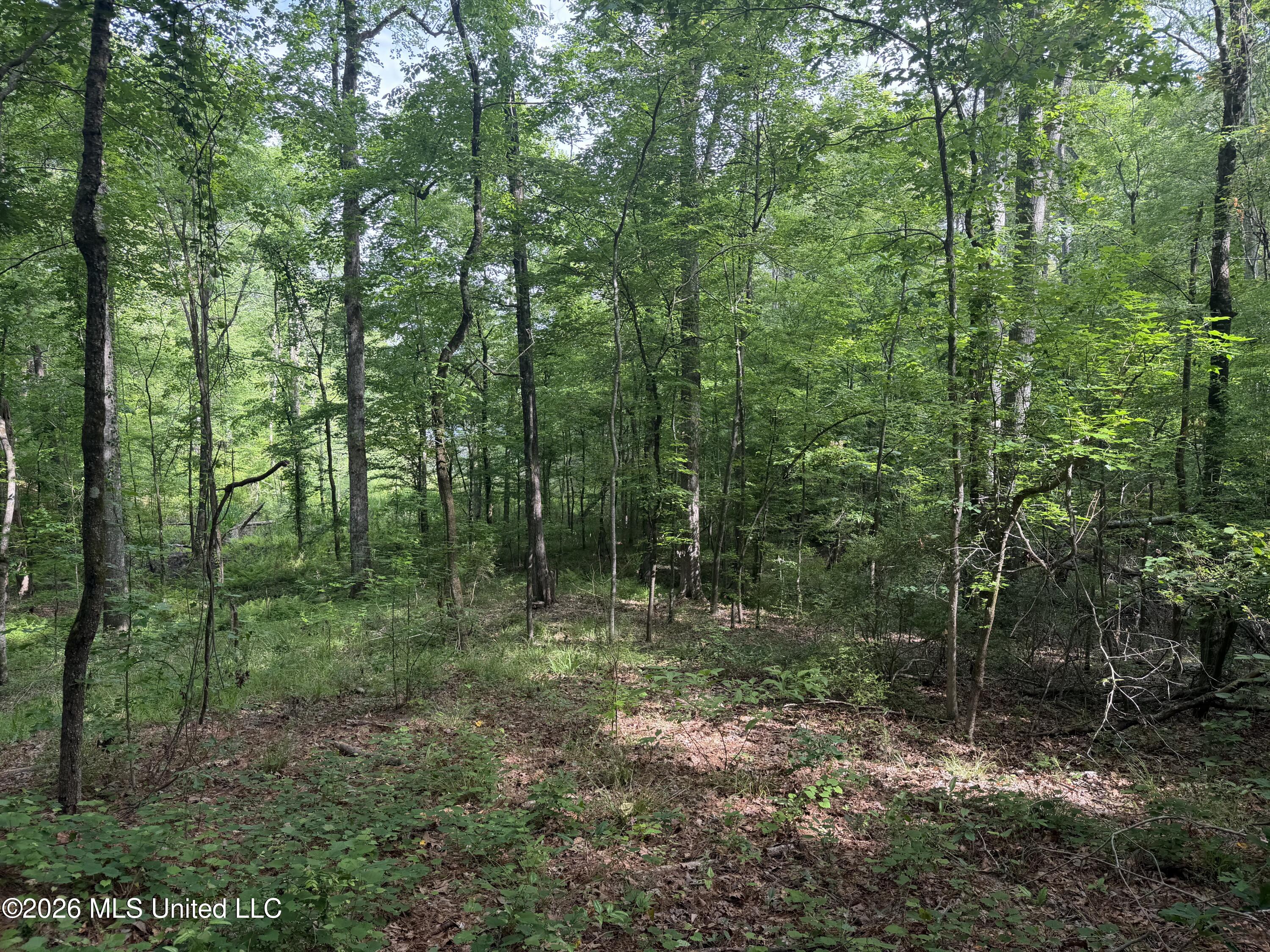 Evergreen Drive Property Photo 5