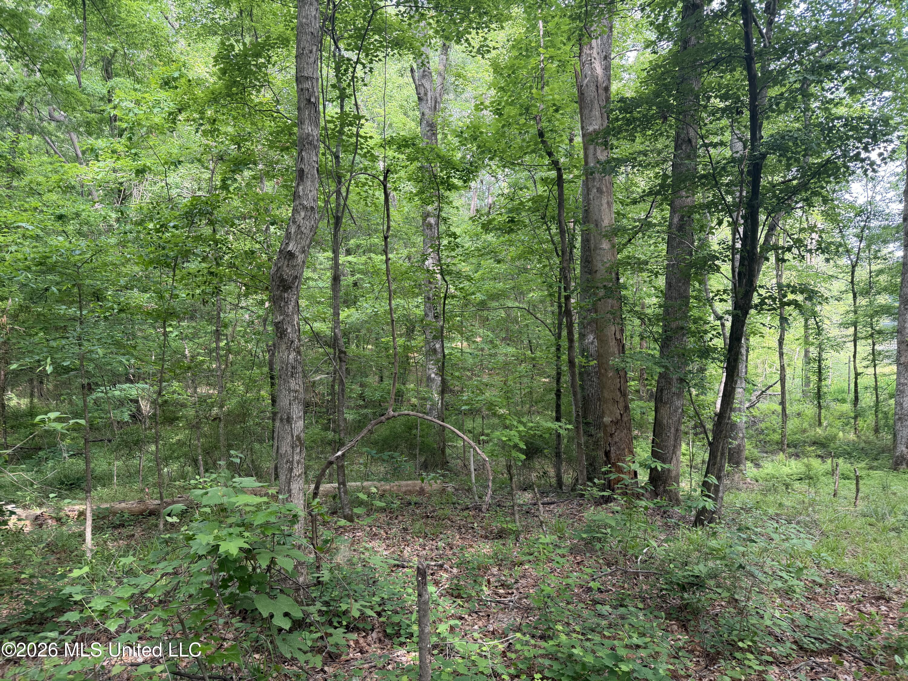 Evergreen Drive Property Photo 12