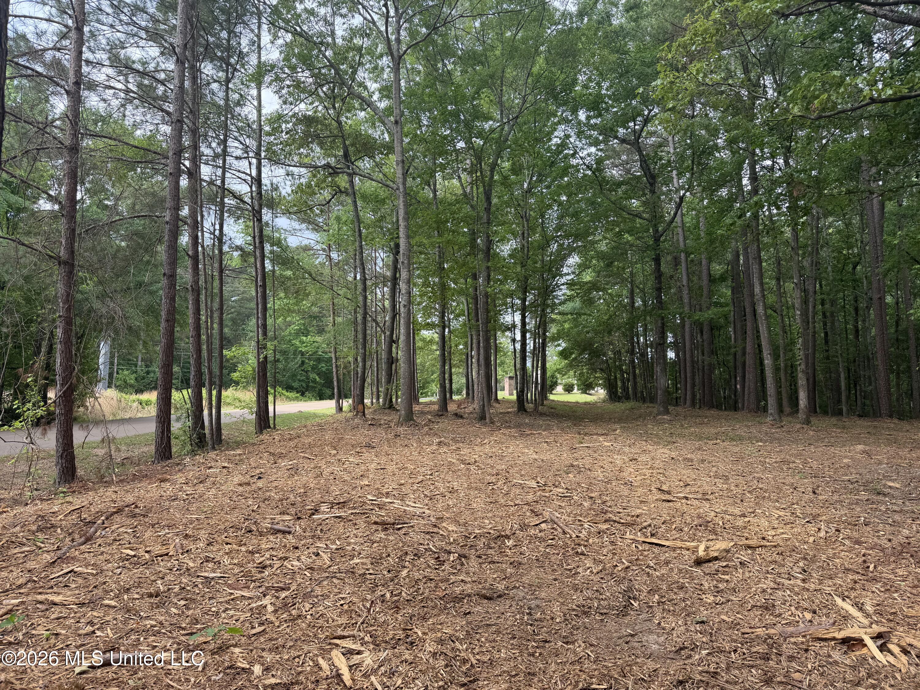 Evergreen Drive Property Photo 16