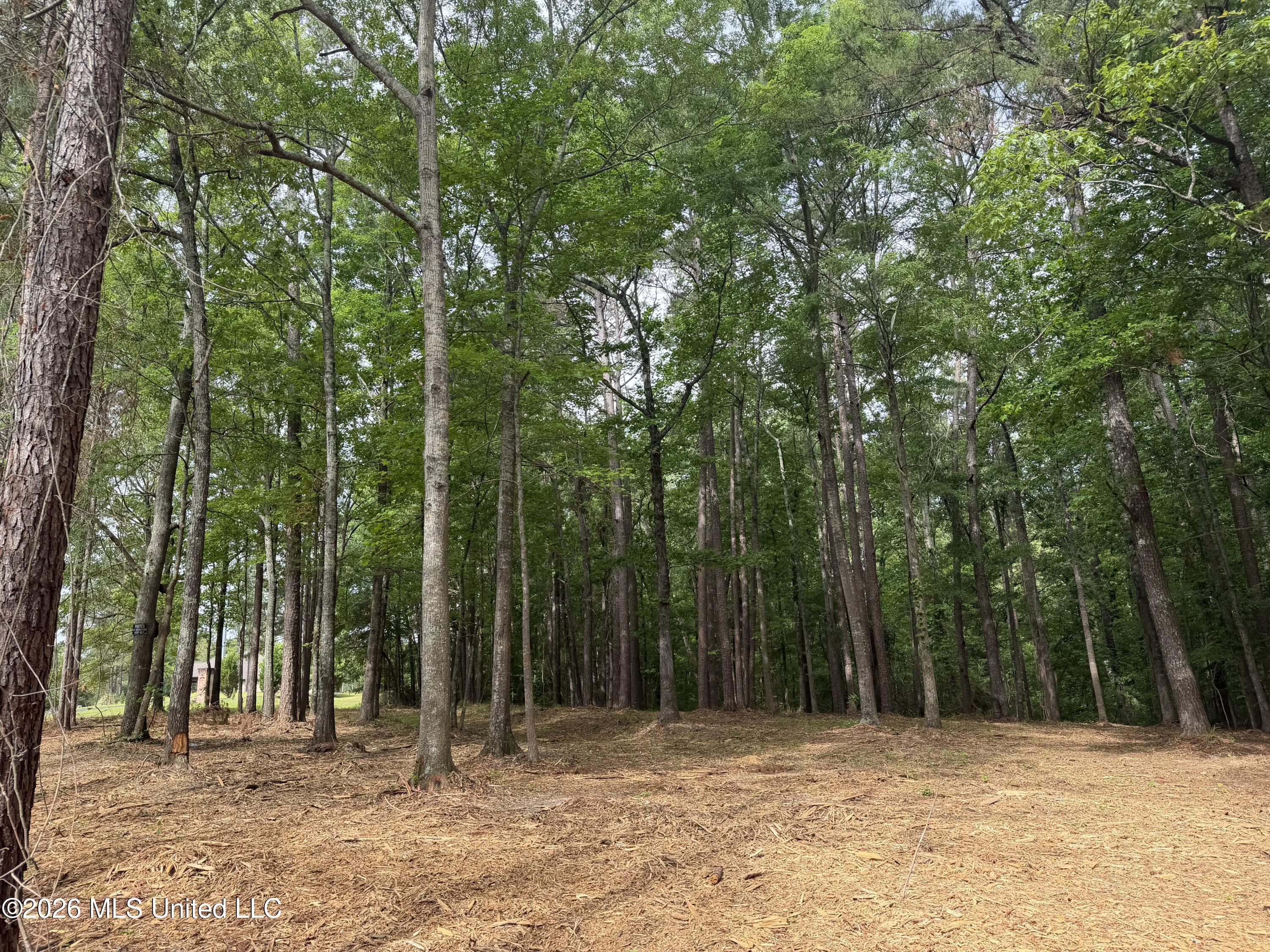 Evergreen Drive Property Photo 17