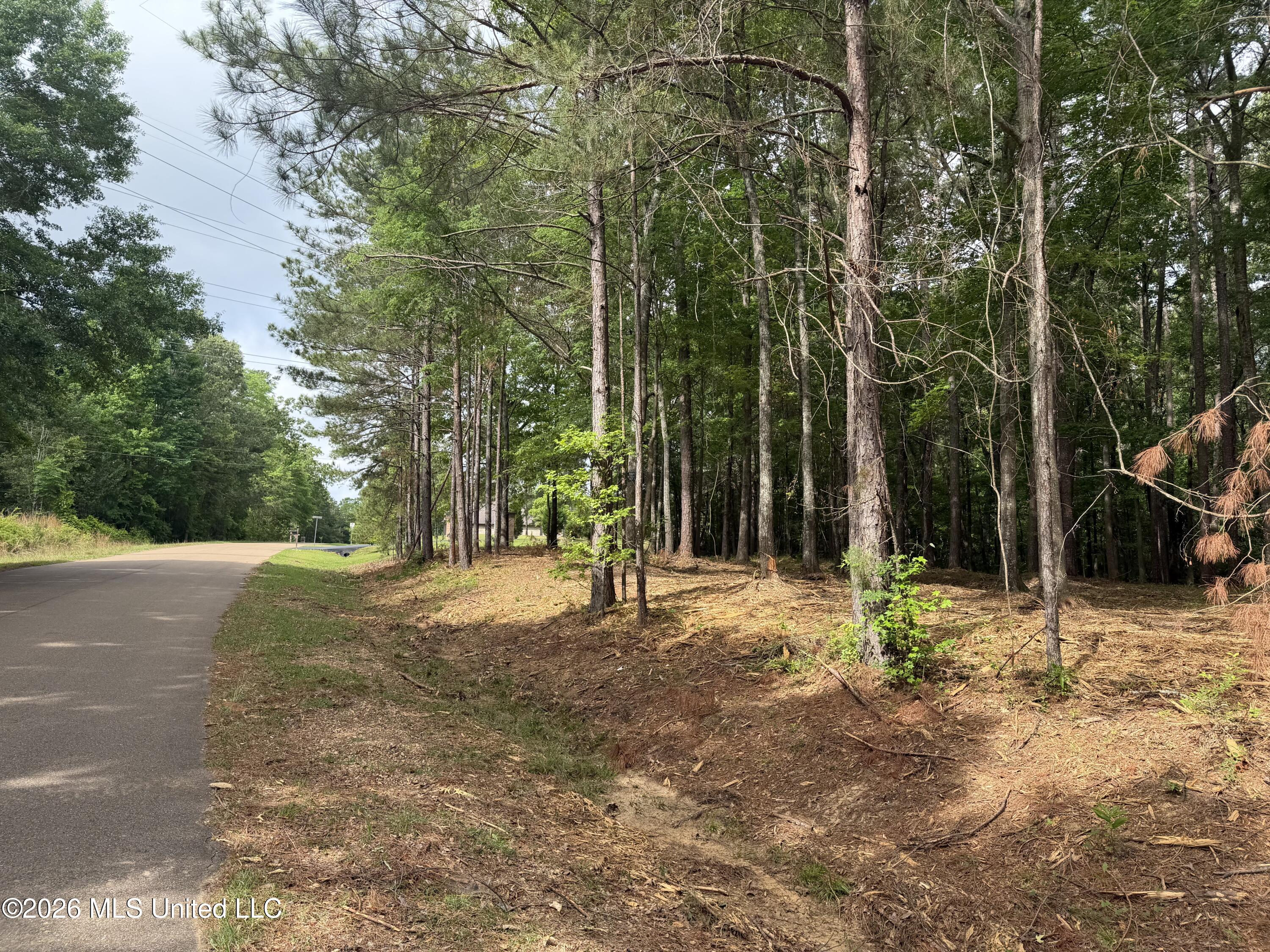 Evergreen Drive Property Photo 19
