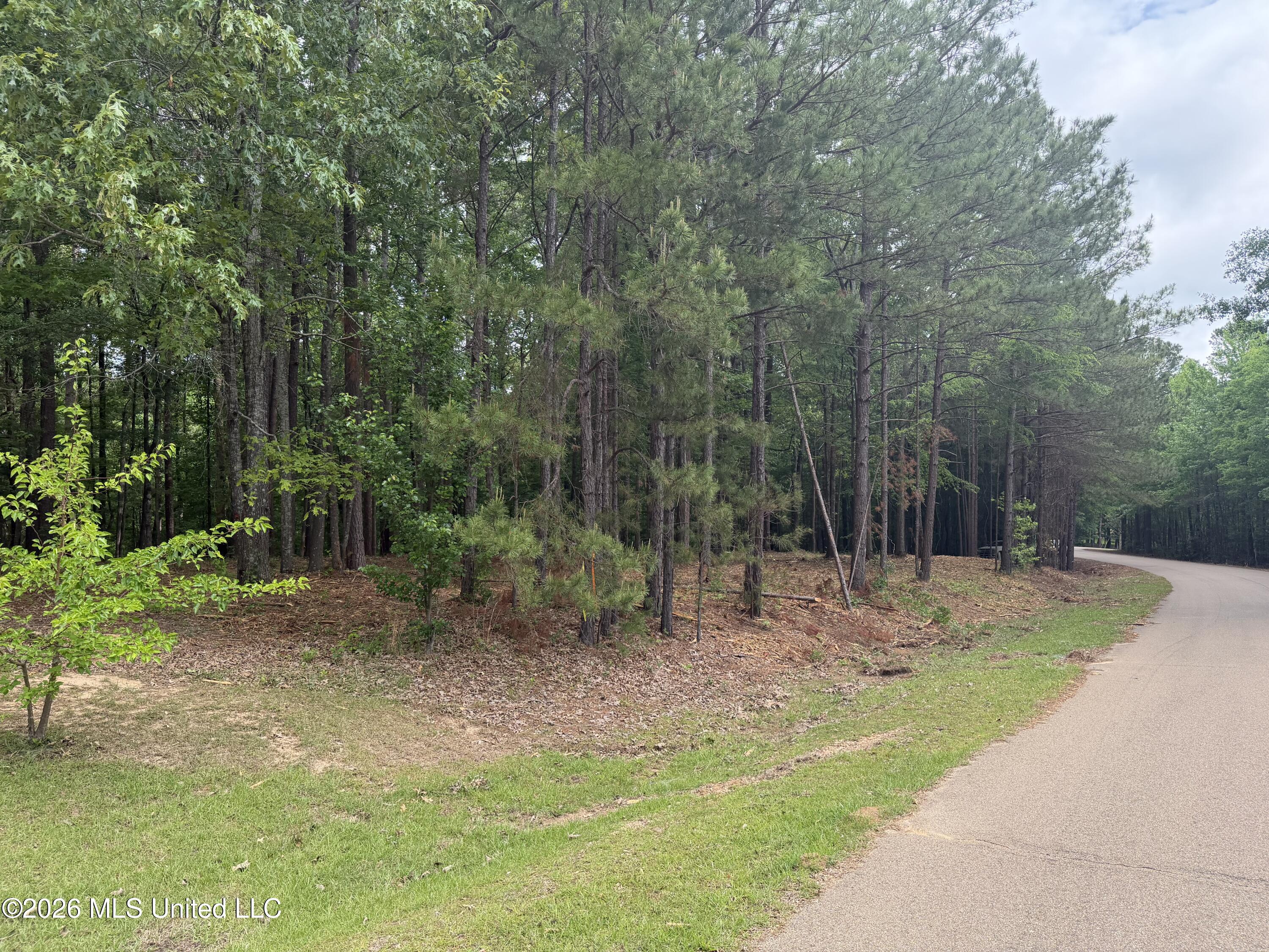 Evergreen Drive Property Photo 20