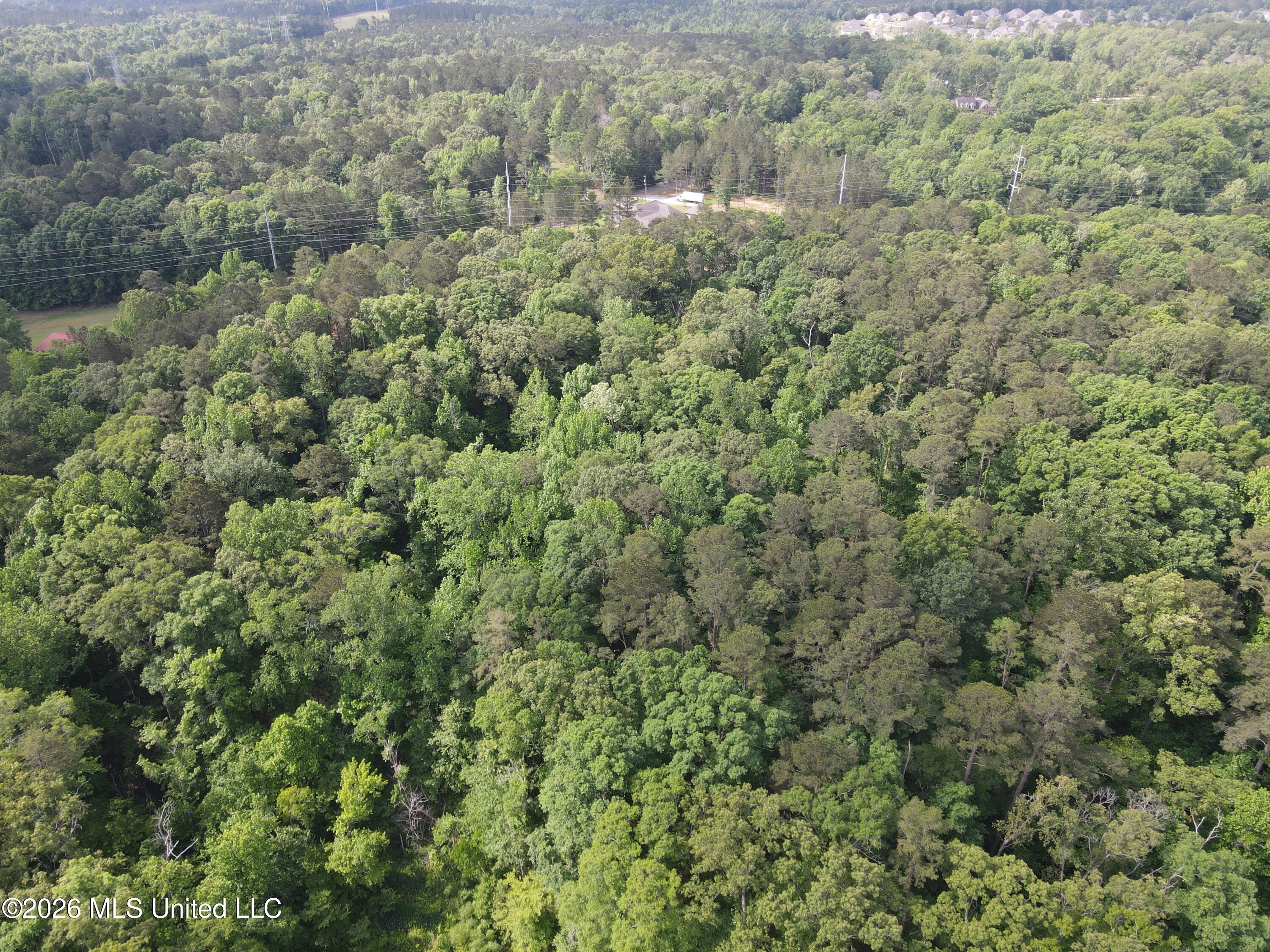 Evergreen Drive Property Photo 30