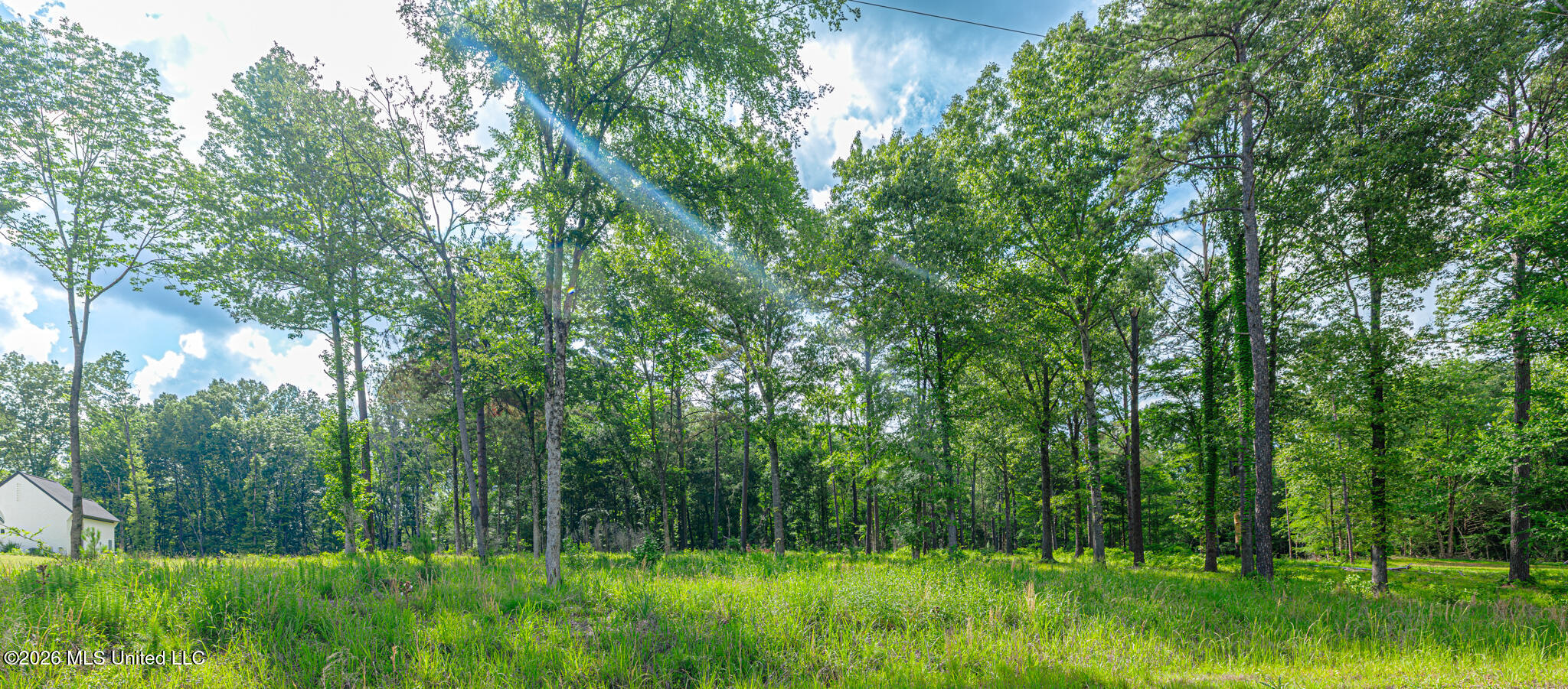 159 Hunters Cove Property Photo 7