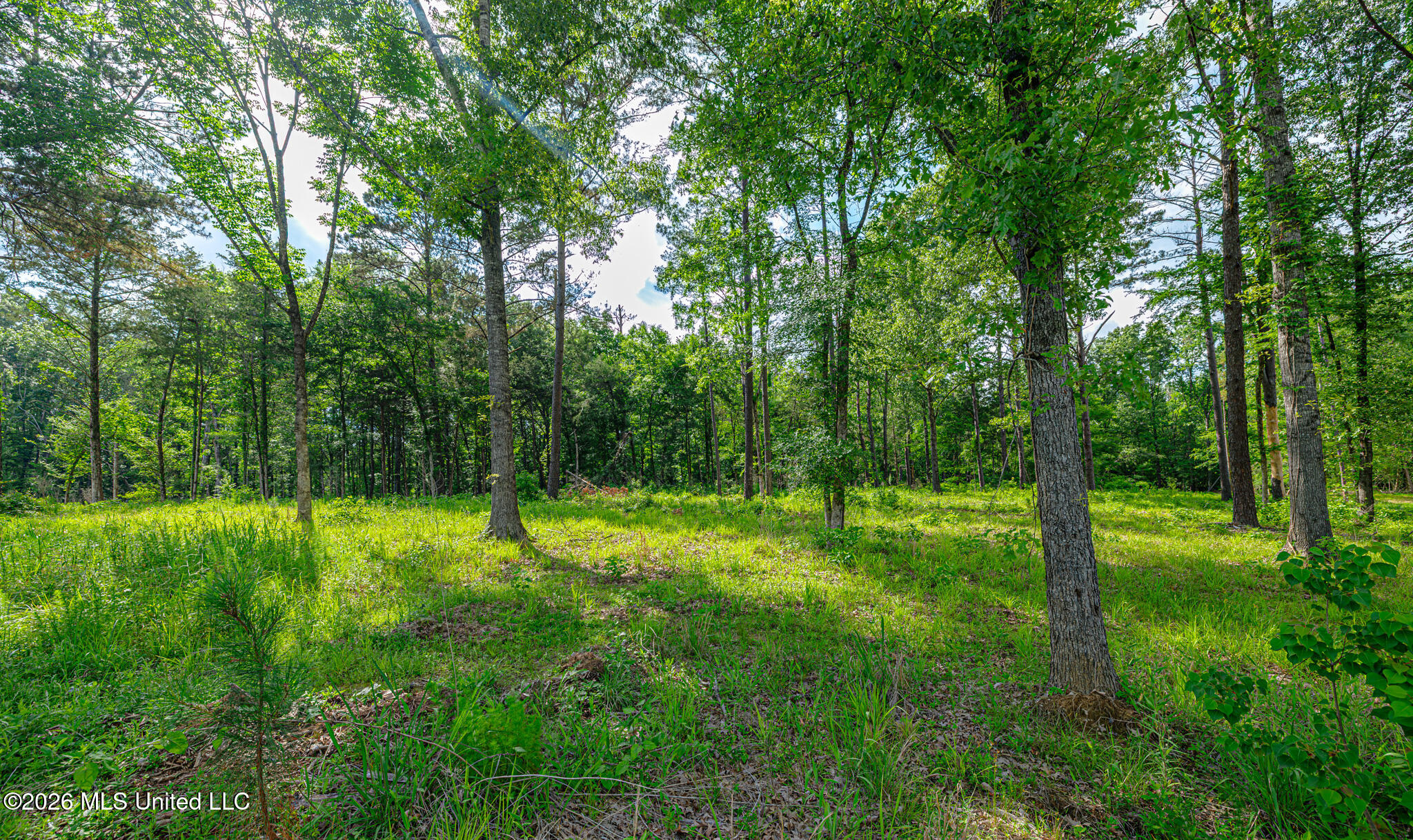 159 Hunters Cove Property Photo 8