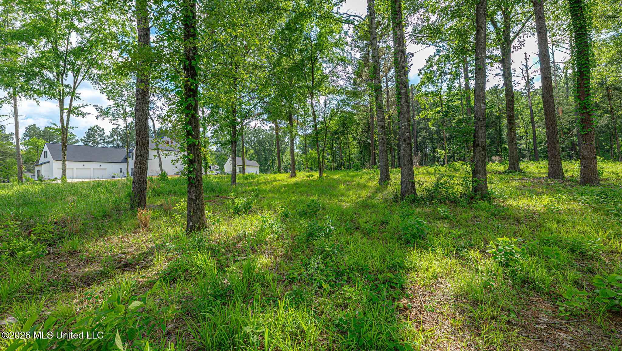 159 Hunters Cove Property Photo 9