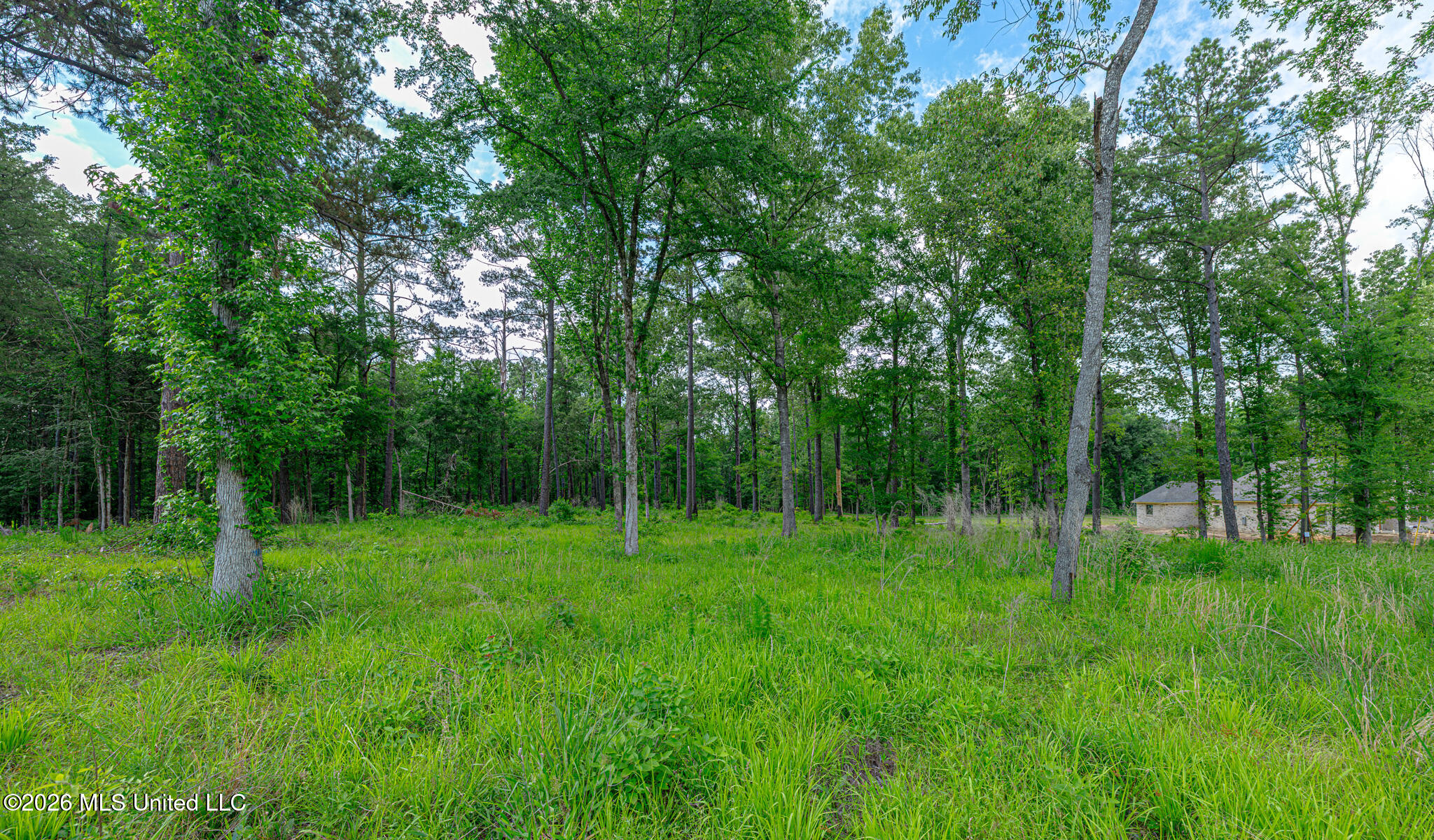 159 Hunters Cove Property Photo 10