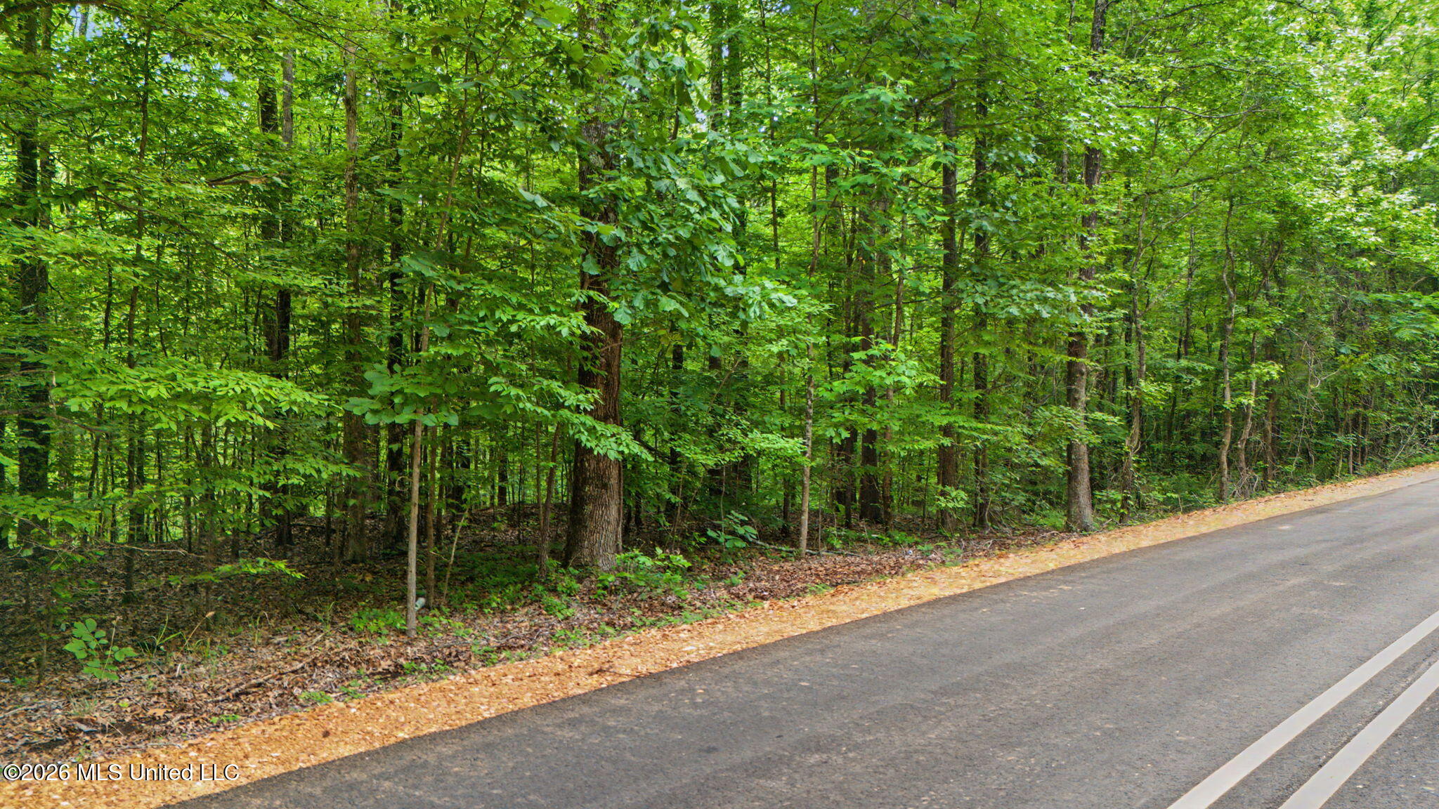 Tanyard Road Property Photo 3