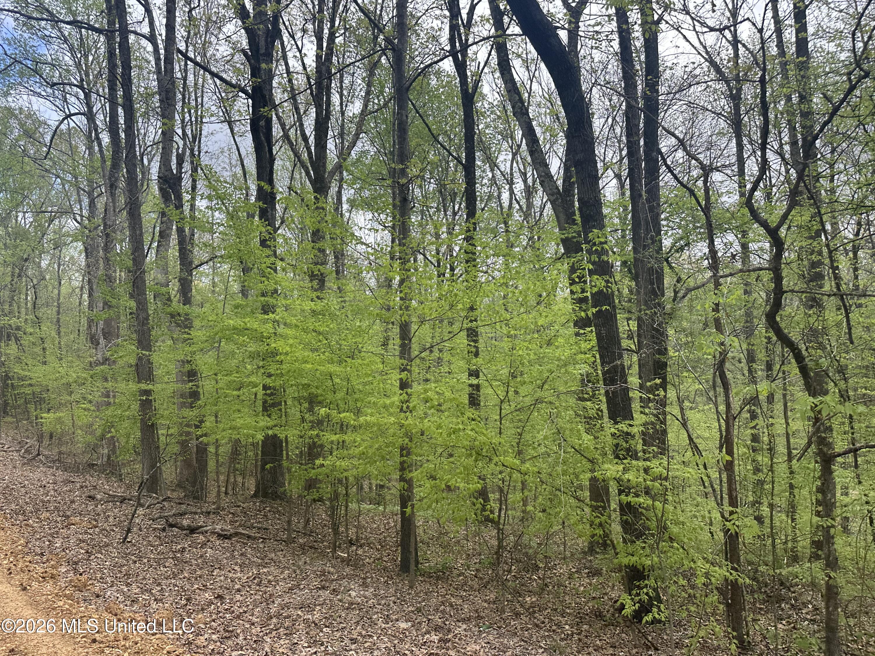 Tanyard Road Property Photo 4
