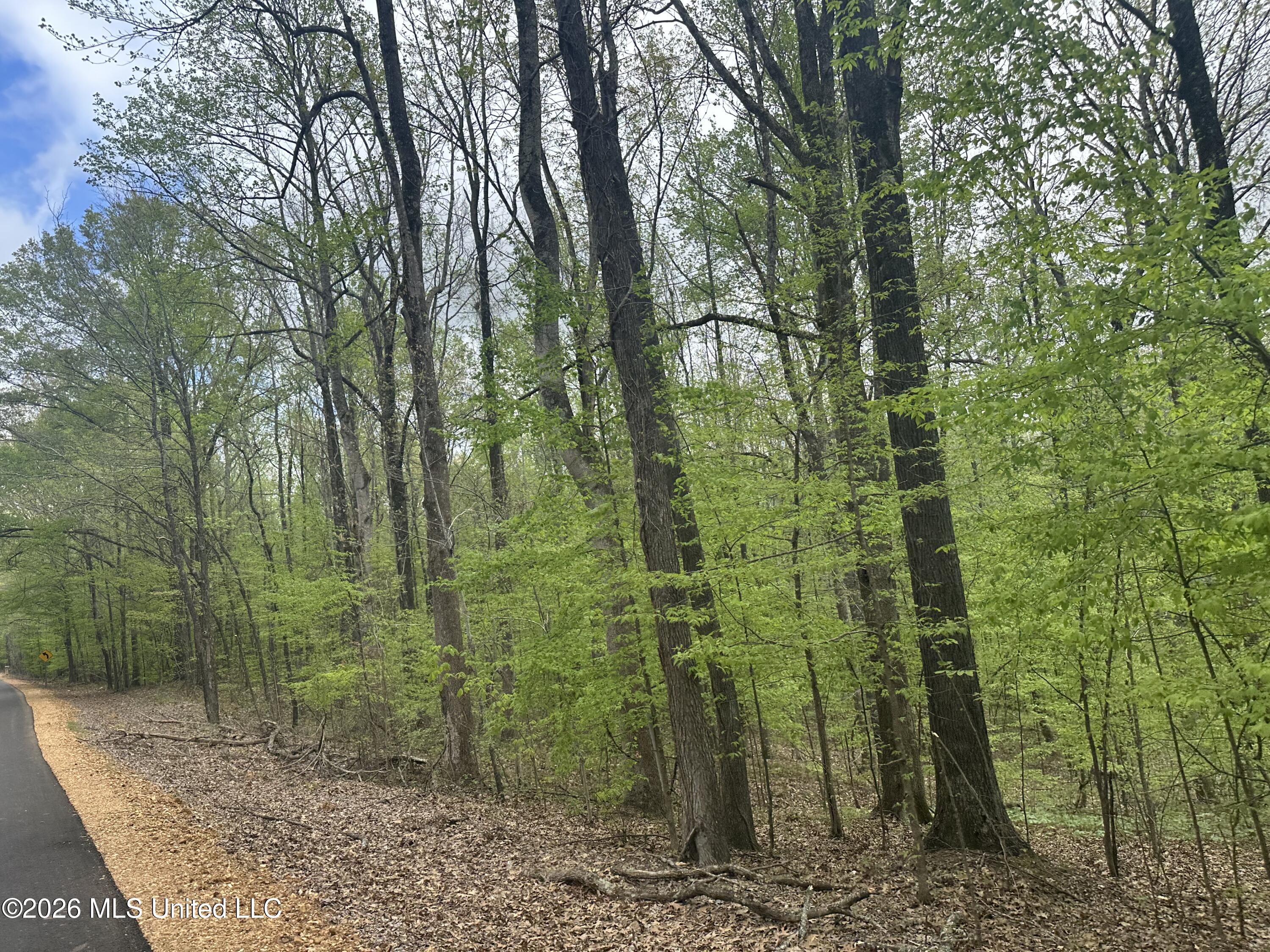 Tanyard Road Property Photo 5