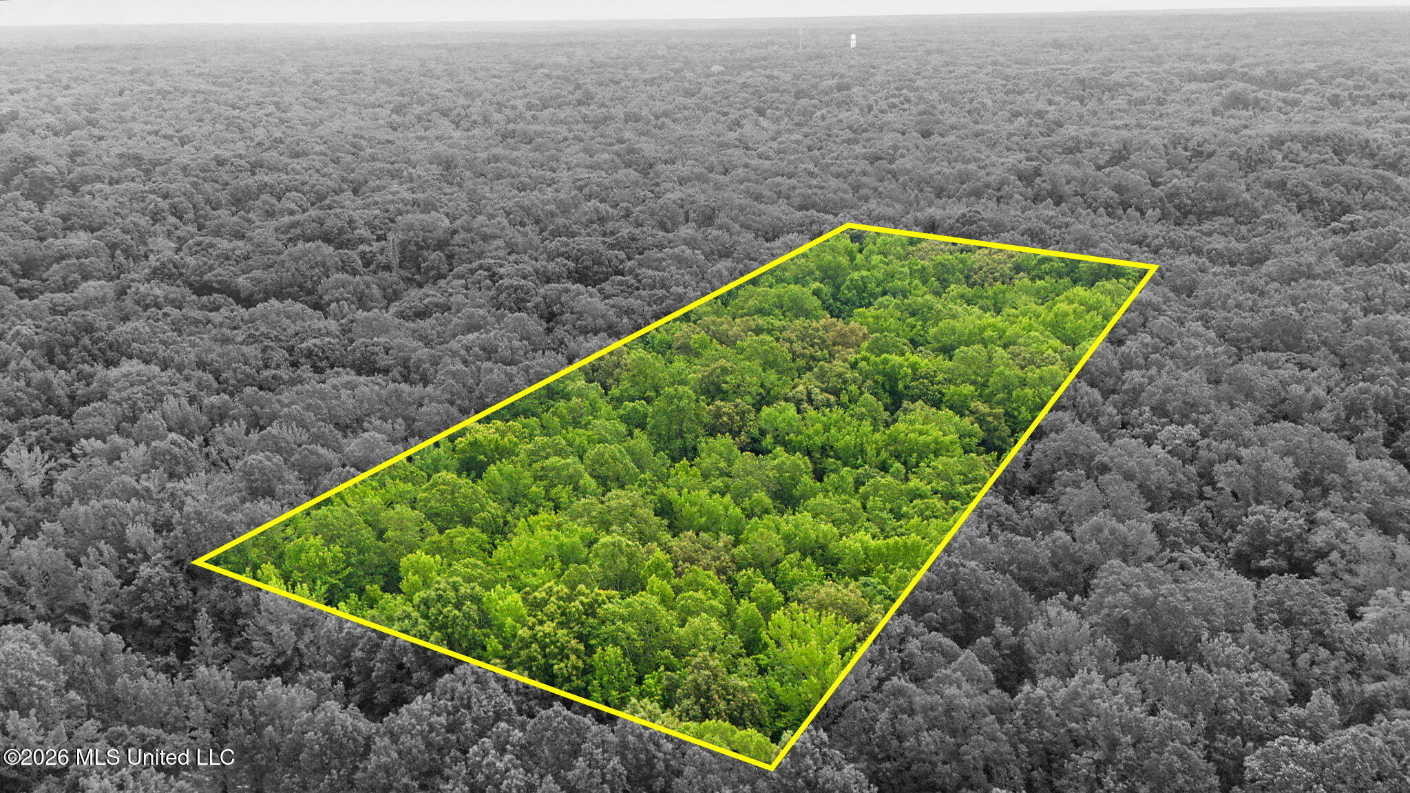 Tanyard Road Property Photo 8