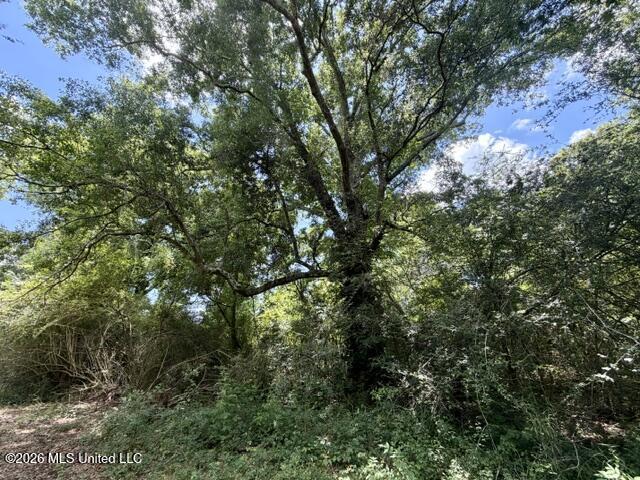 Oak Grove Road Property Photo 3