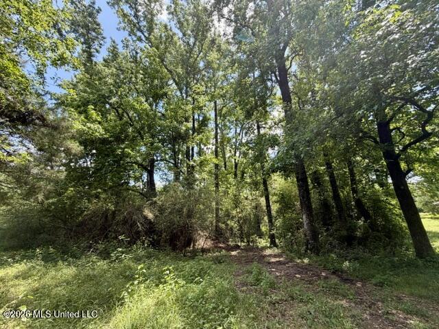 Oak Grove Road Property Photo 4