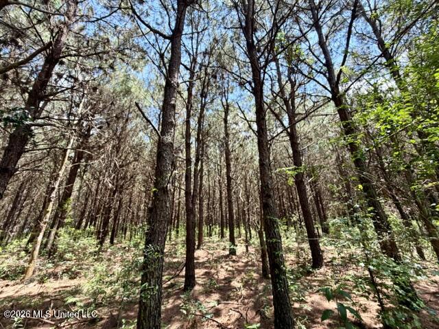 Oak Grove Road Property Photo 8