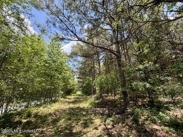 Oak Grove Road Property Photo 10
