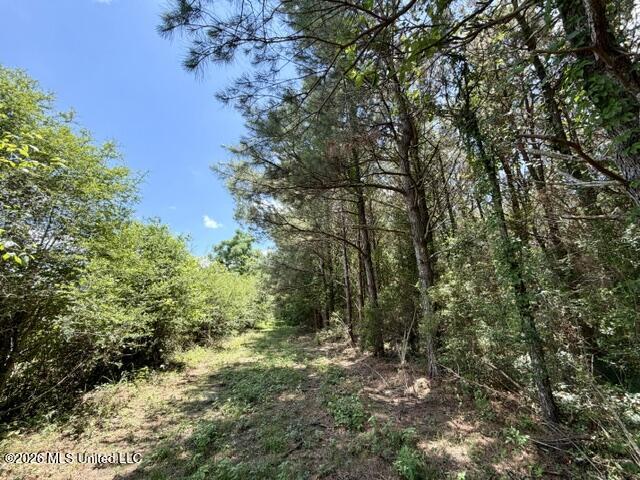Oak Grove Road Property Photo 11