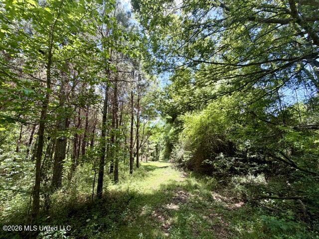Oak Grove Road Property Photo 12