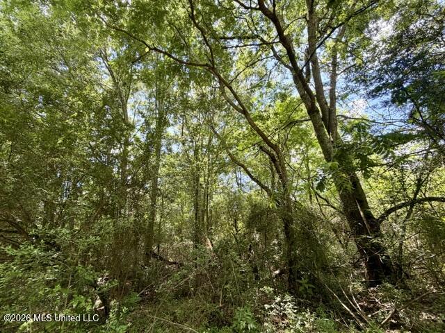 Oak Grove Road Property Photo 13