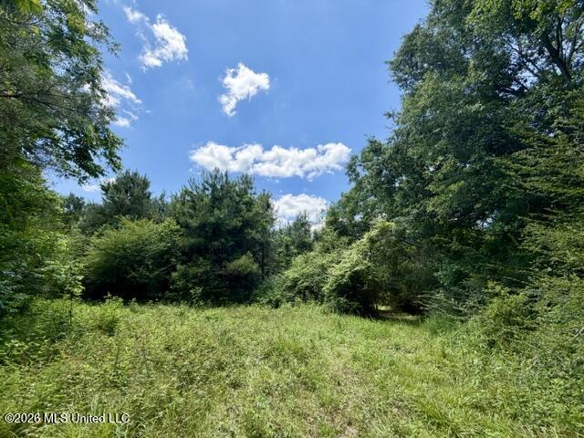 Vaniel Holmes Road Property Photo 2