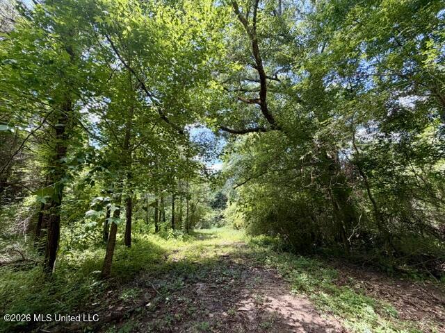 Vaniel Holmes Road Property Photo 3