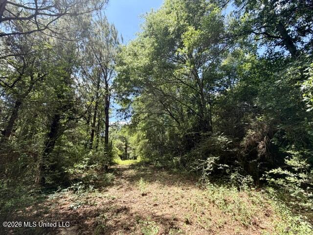 Vaniel Holmes Road Property Photo 4