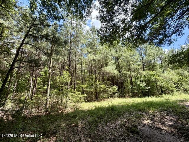 Vaniel Holmes Road Property Photo 12