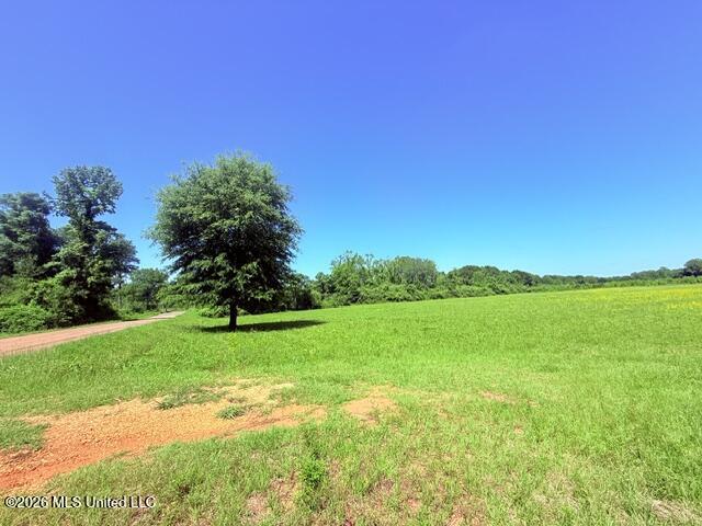 Union Church Road Property Photo 3