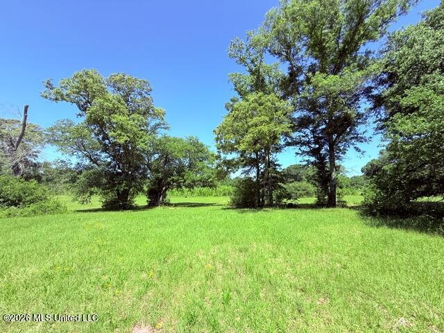 Union Church Road Property Photo 13