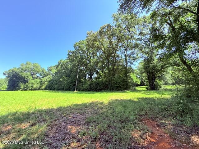 Union Church Road Property Photo 16