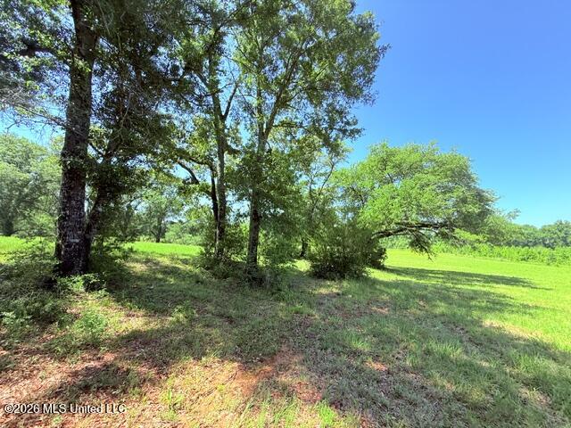 Union Church Road Property Photo 18
