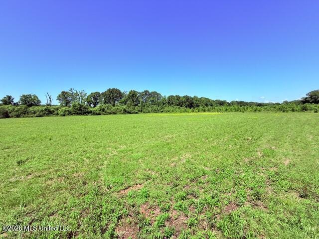 Union Church Road Property Photo 23