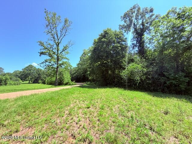 Union Church Road Property Photo 28