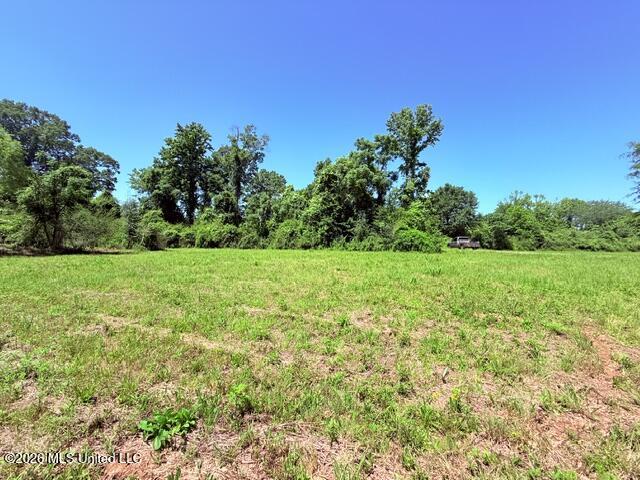 Union Church Road Property Photo 29