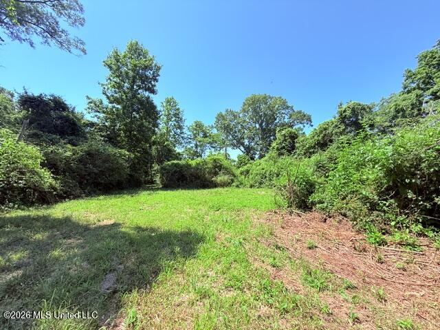 Union Church Road Property Photo 30