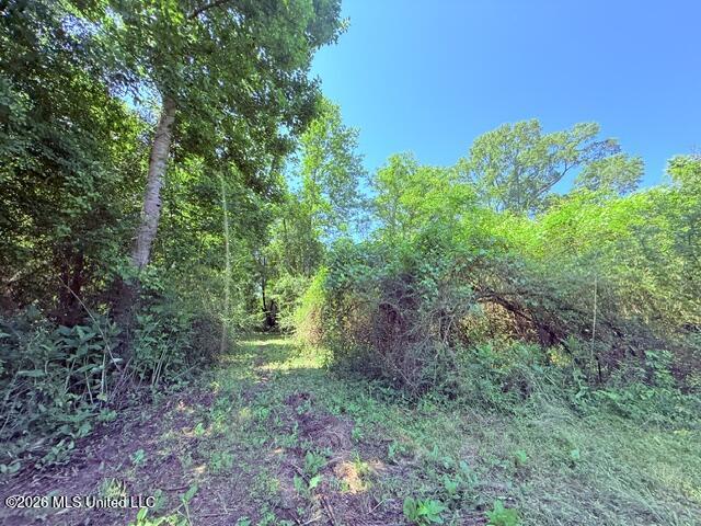 Union Church Road Property Photo 32