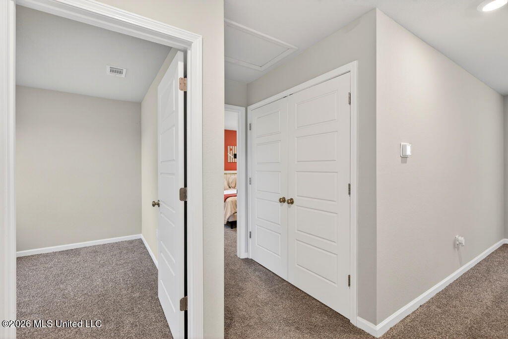 2020 Magazine Street Property Photo 19