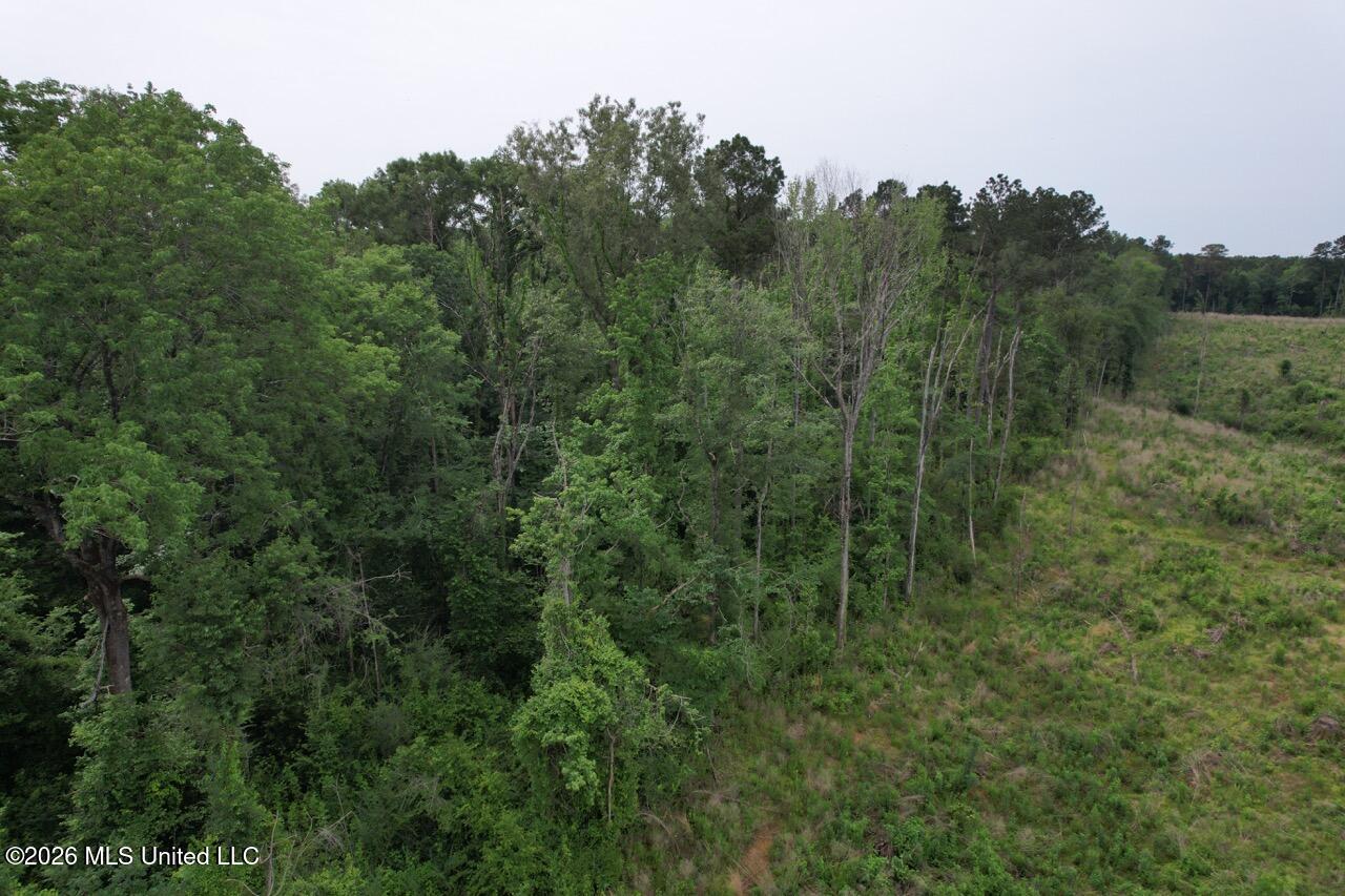 4155 Sterling Lane Property Photo 7
