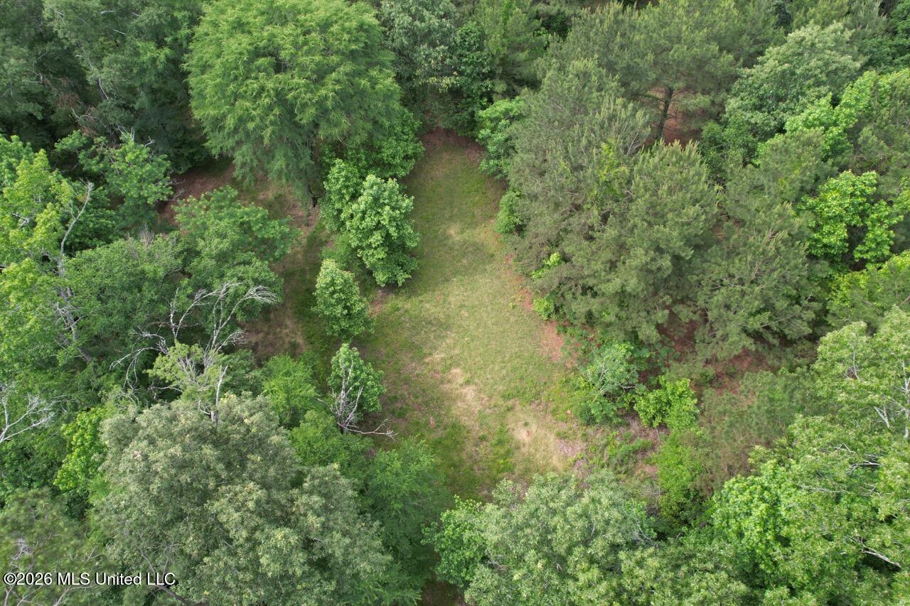 4155 Sterling Lane Property Photo 12
