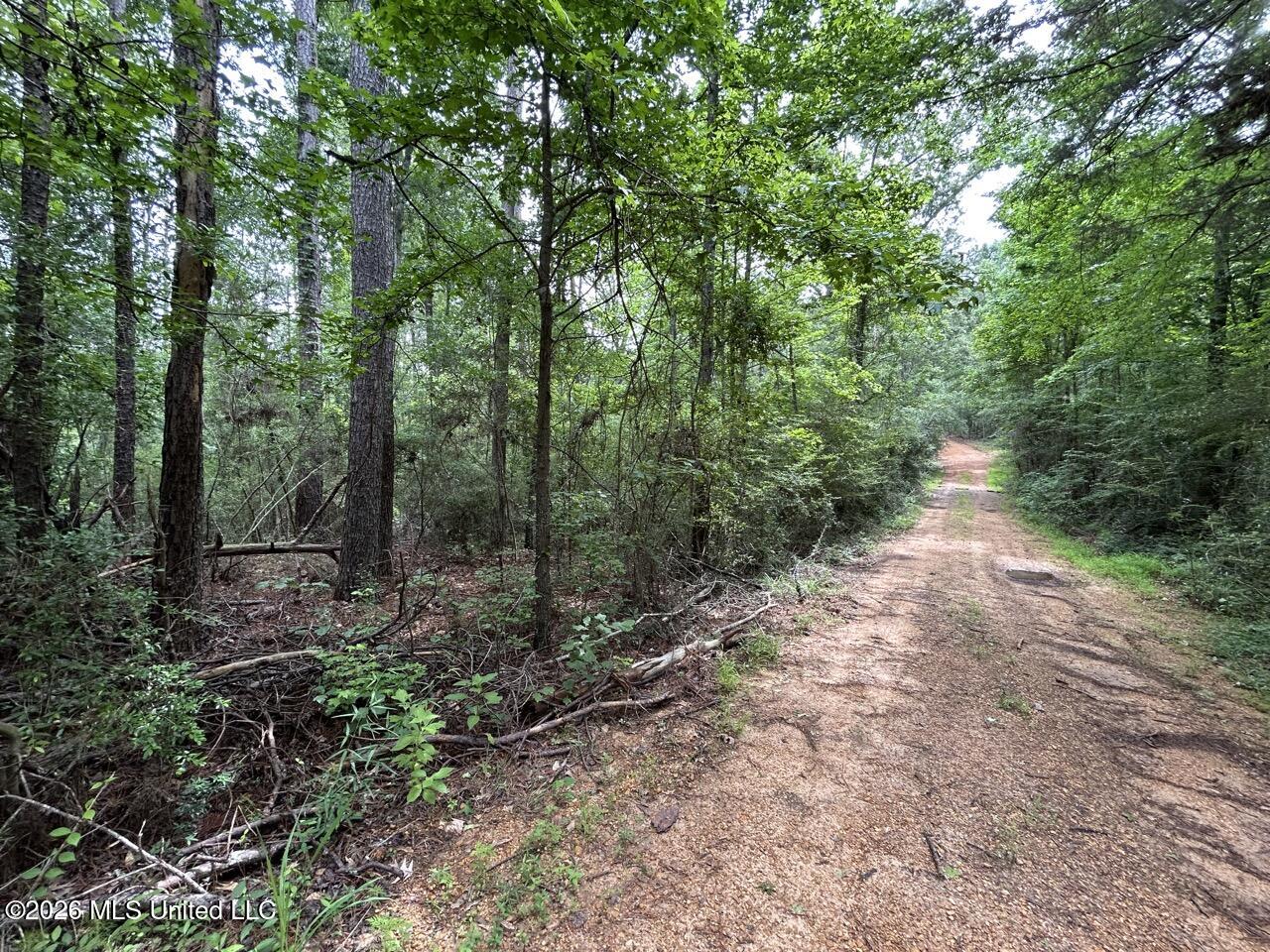 4155 Sterling Lane Property Photo 15