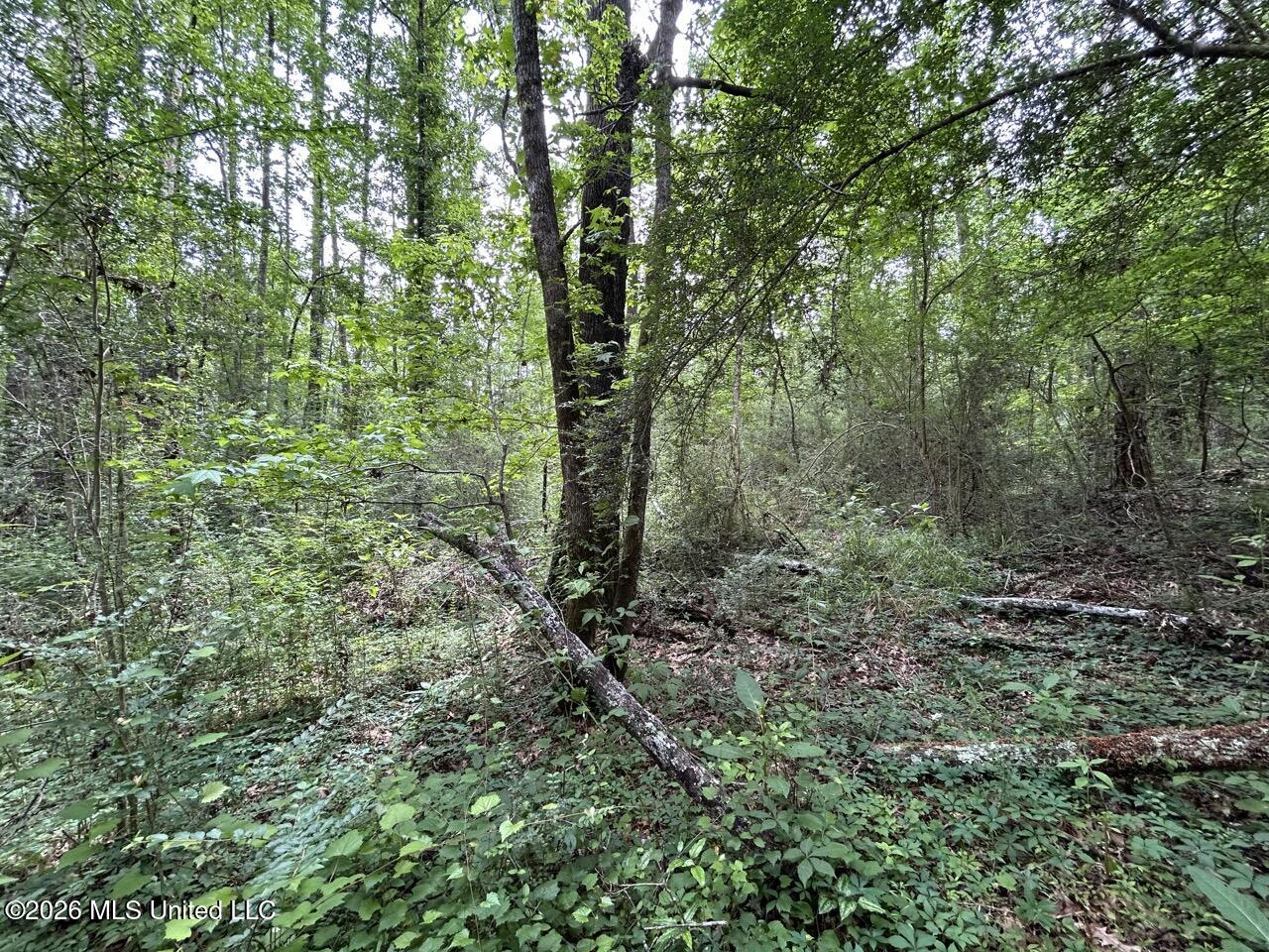 4155 Sterling Lane Property Photo 16