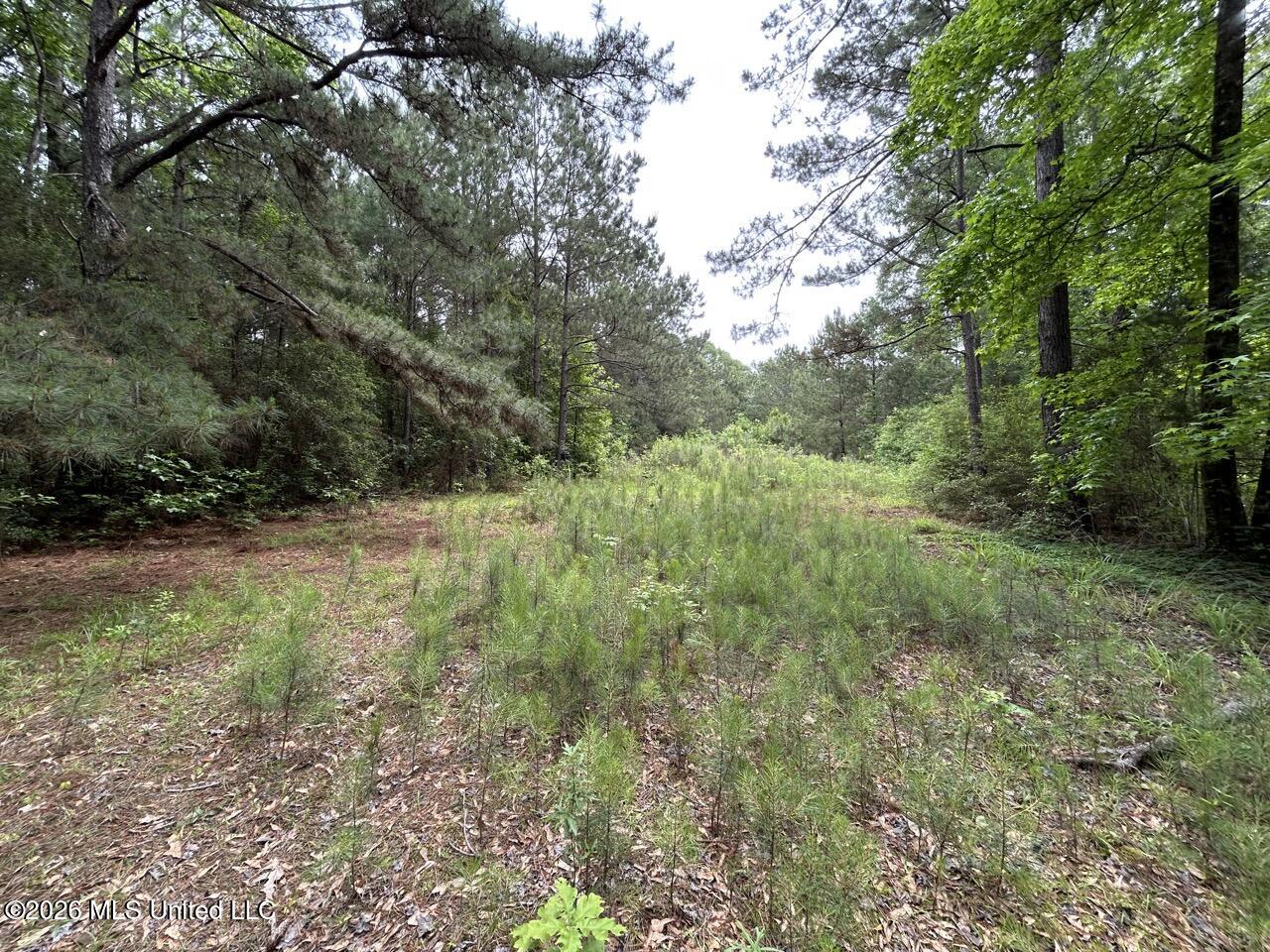 4155 Sterling Lane Property Photo 19