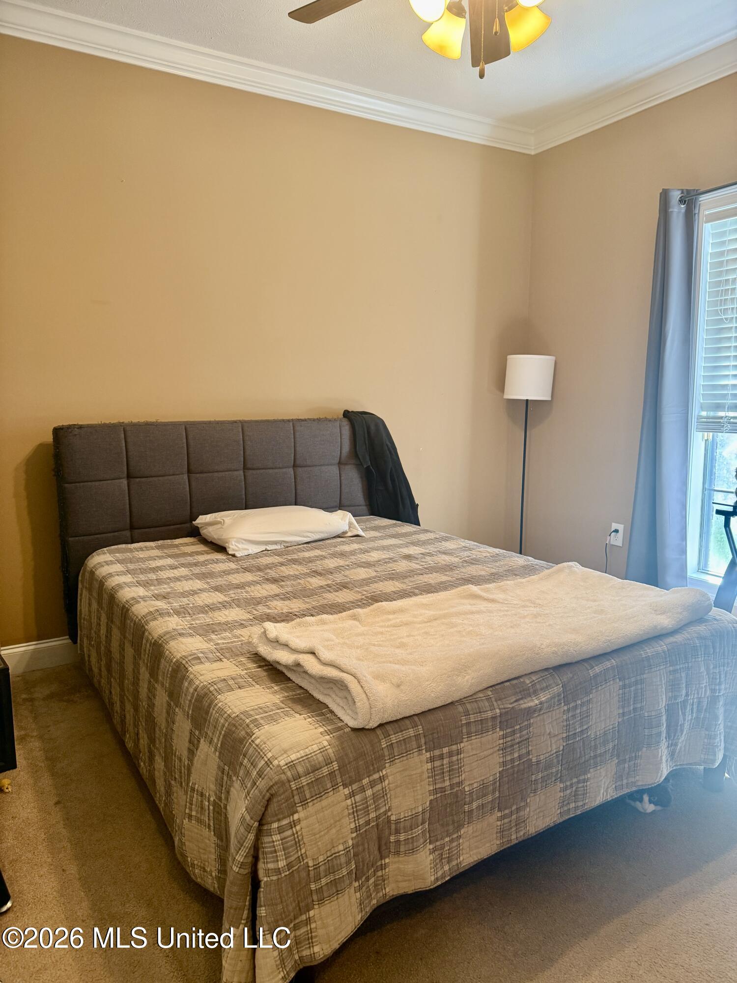 302 Pinecone Cove Property Photo 26