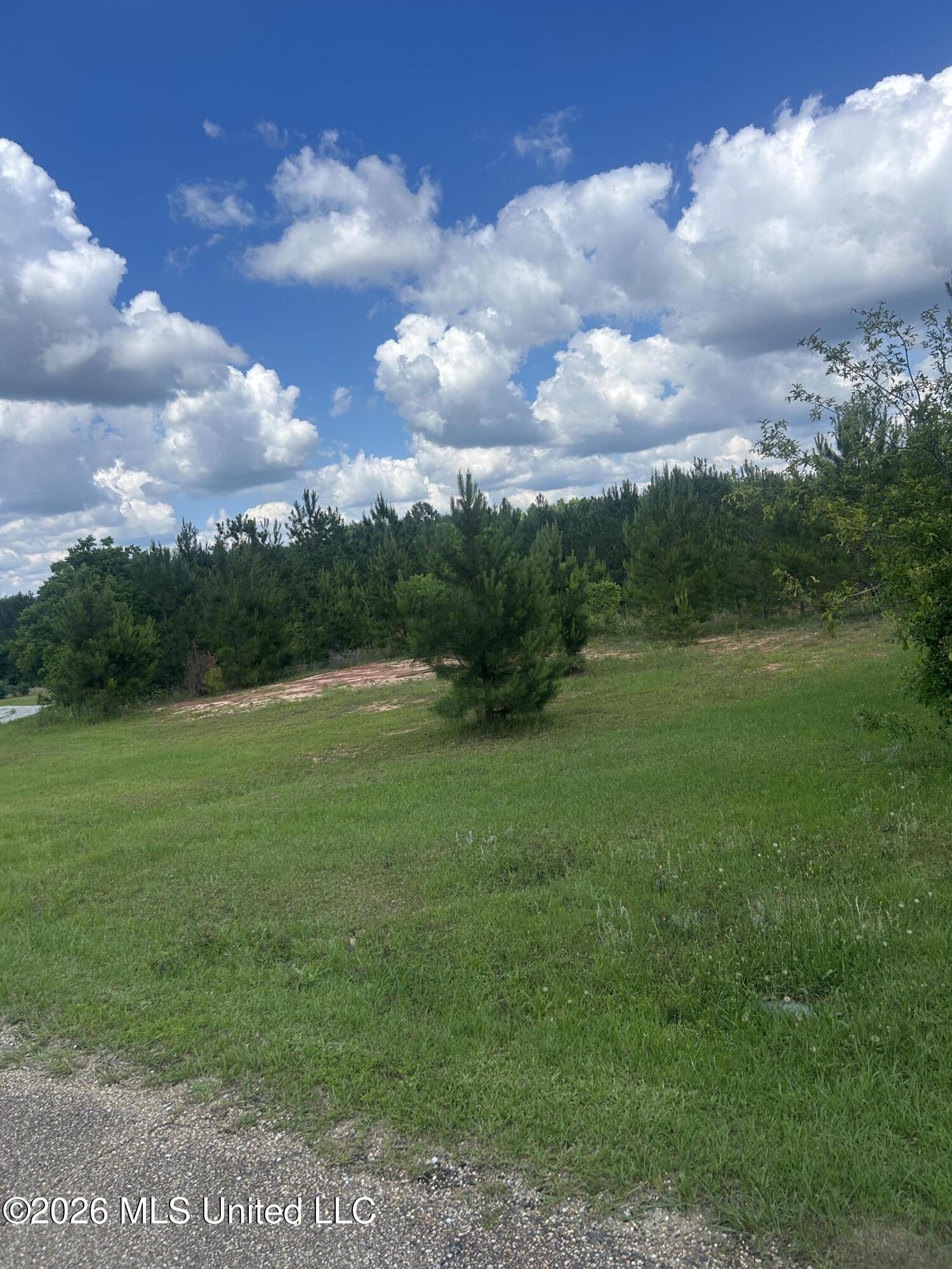 52 Joe Traylor Road Property Photo 1